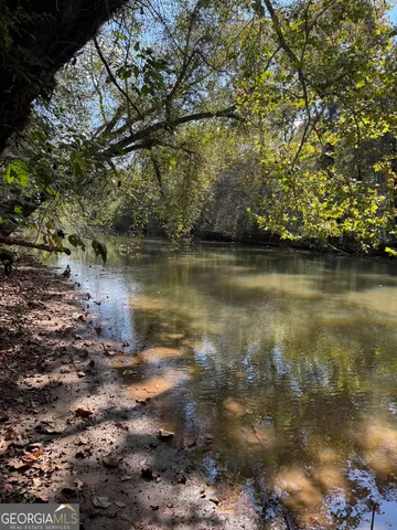 a view of a lake with a tree