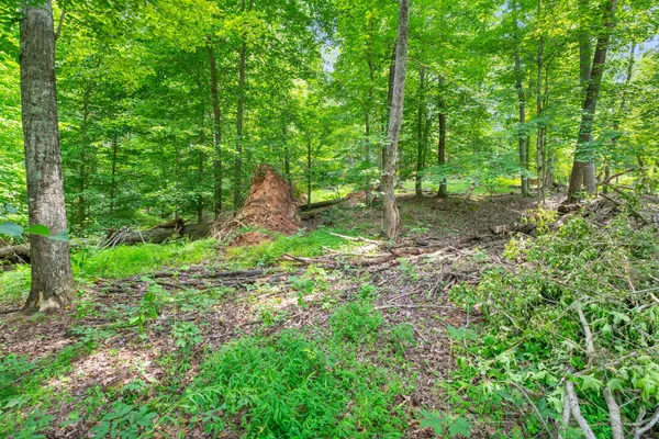 $395,000 | Lot 31-32 Cherokee Circle, Ten Mile, TN 37880