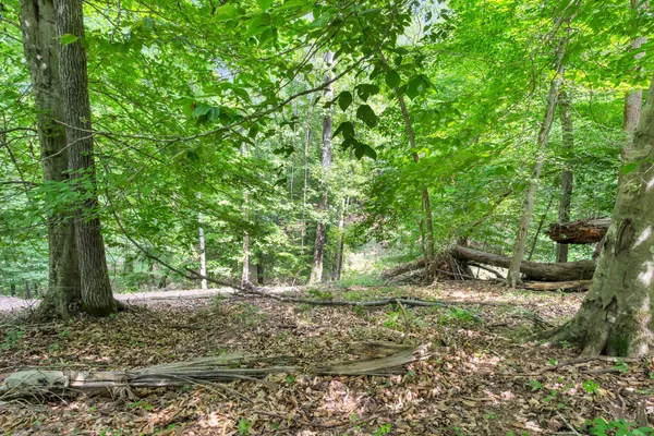 $395,000 | Lot 31-32 Cherokee Circle, Ten Mile, TN 37880