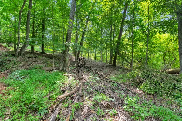 $395,000 | Lot 31-32 Cherokee Circle, Ten Mile, TN 37880