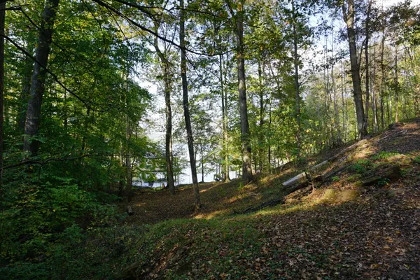 $395,000 | Lot 31-32 Cherokee Circle, Ten Mile, TN 37880