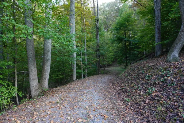 $395,000 | Lot 31-32 Cherokee Circle, Ten Mile, TN 37880