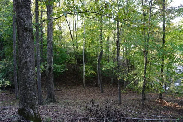 $395,000 | Lot 31-32 Cherokee Circle, Ten Mile, TN 37880