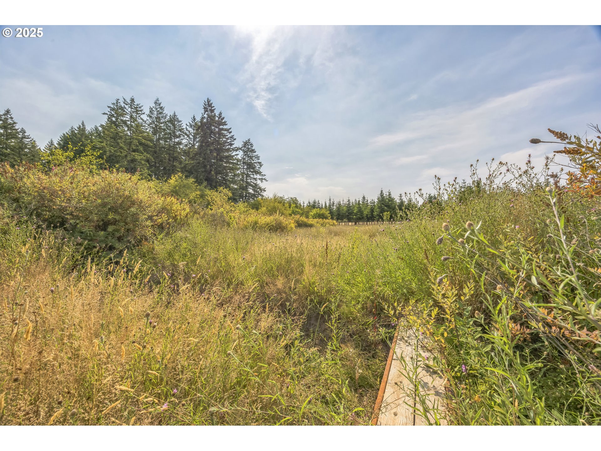 213 Nelson Road Winlock, WA 98596 - Photo 12 of 30 a view of lake and mountain