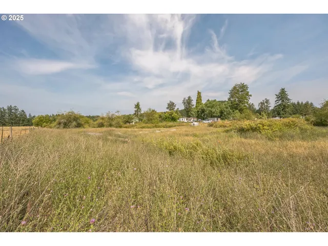 a view of a lake and mountain in the back