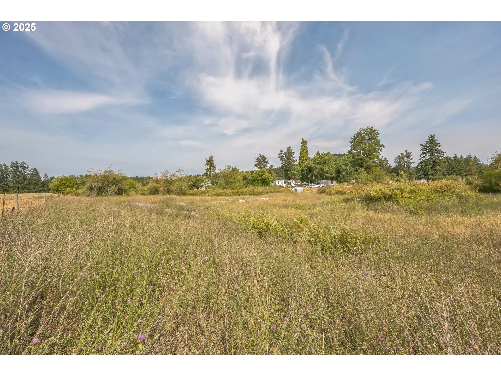 213 Nelson Road Winlock, WA 98596 - Photo 14 of 30 a view of a lake and mountain in the back