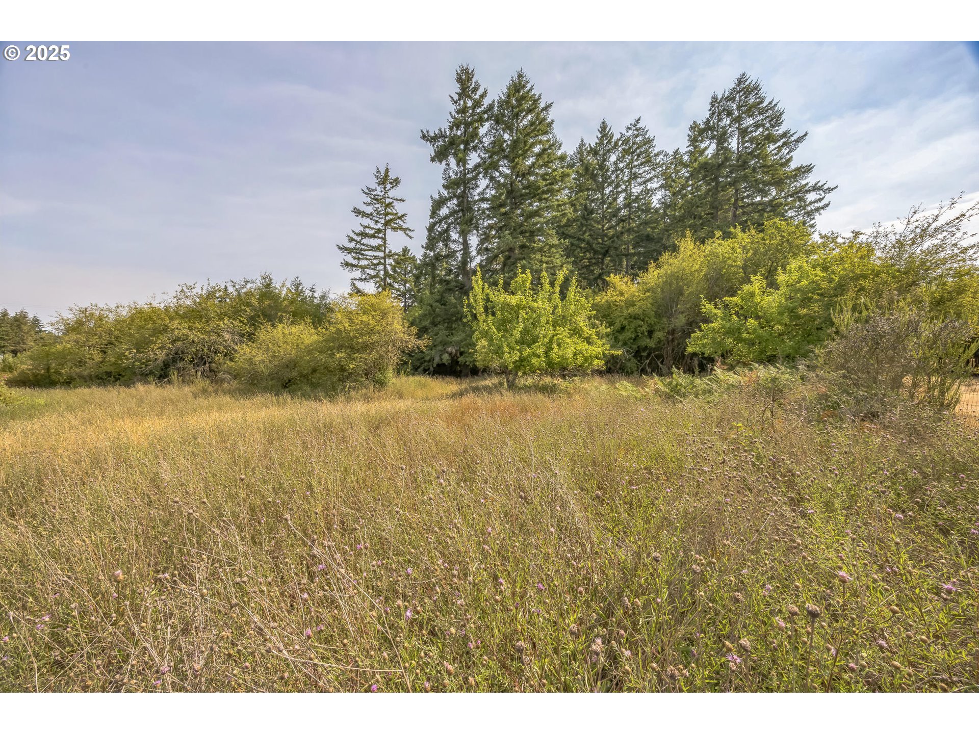 213 Nelson Road Winlock, WA 98596 - Photo 15 of 30 a view of lake and mountain