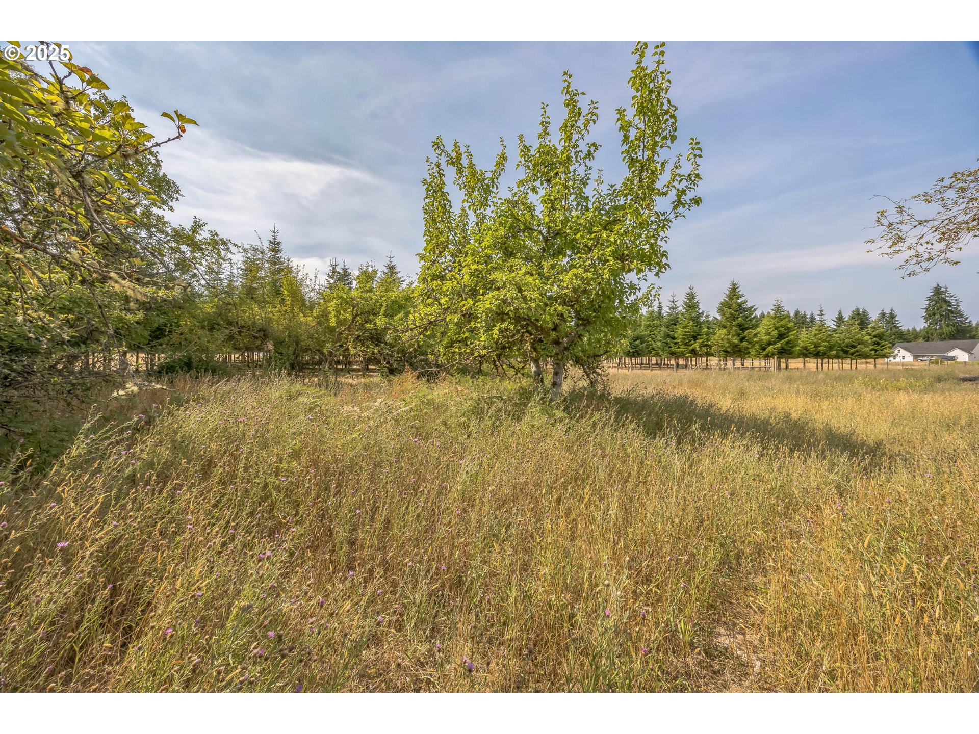 213 Nelson Road Winlock, WA 98596 - Photo 16 of 30 a view of lake