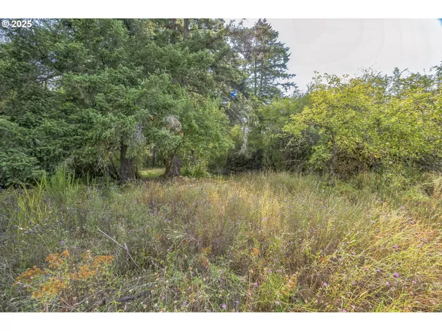 a view of a lake with houses