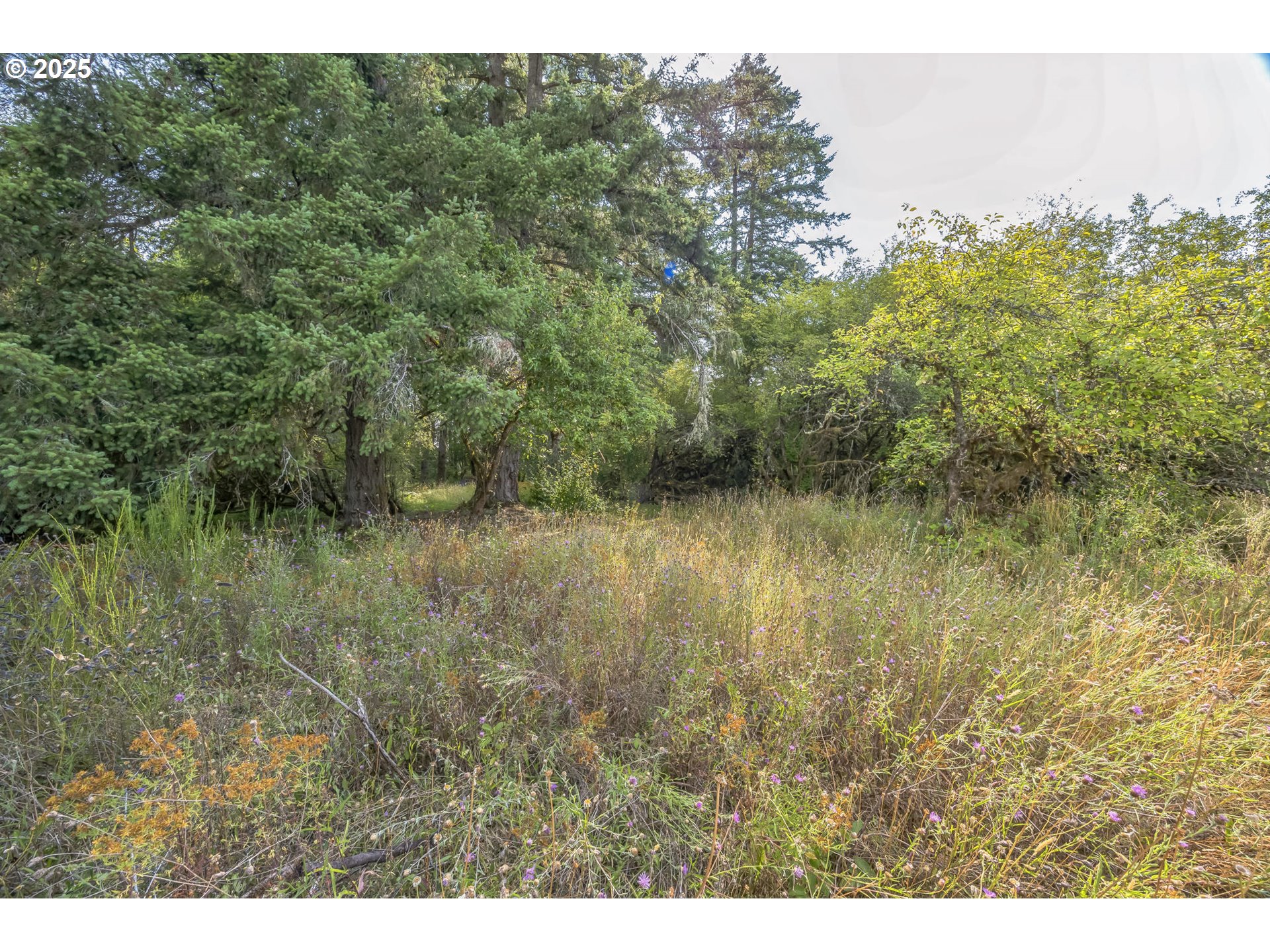 213 Nelson Road Winlock, WA 98596 - Photo 17 of 30 a view of a lake with houses