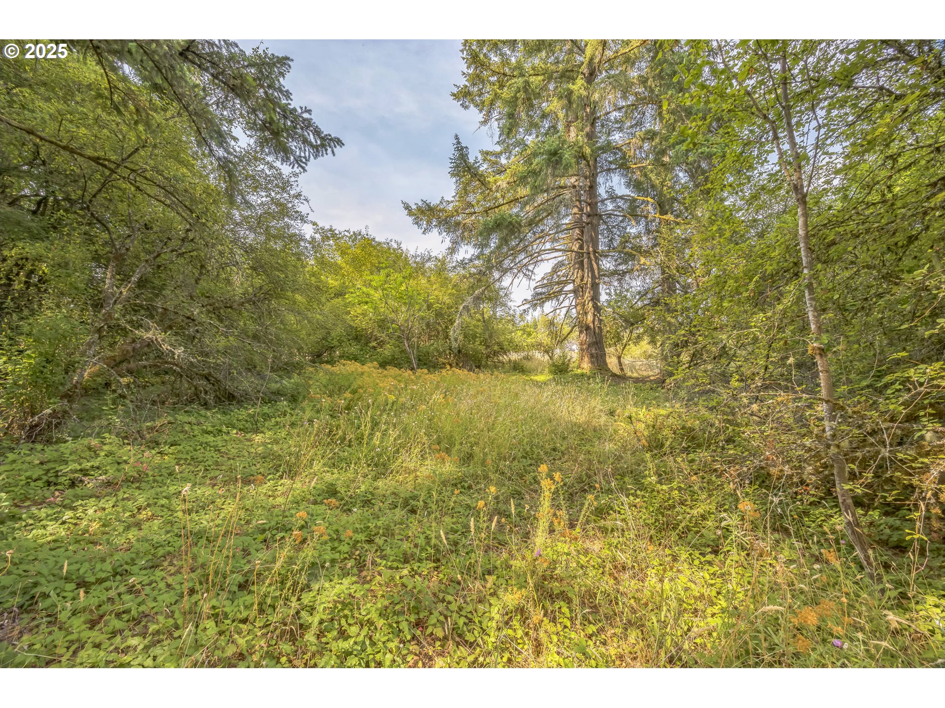 213 Nelson Road Winlock, WA 98596 - Photo 18 of 30 a view of lake view