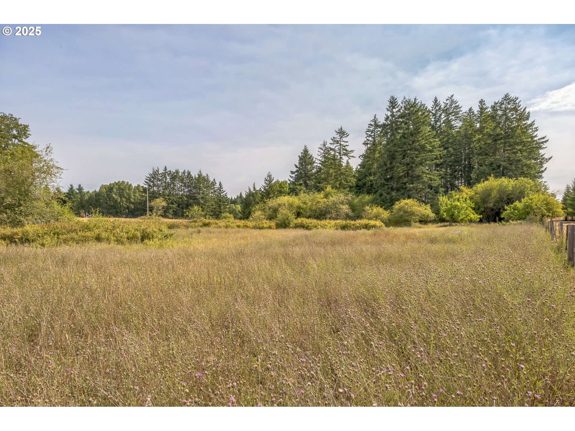 213 Nelson Road Winlock, WA 98596 - Photo 20 of 30 a view of lake and mountain