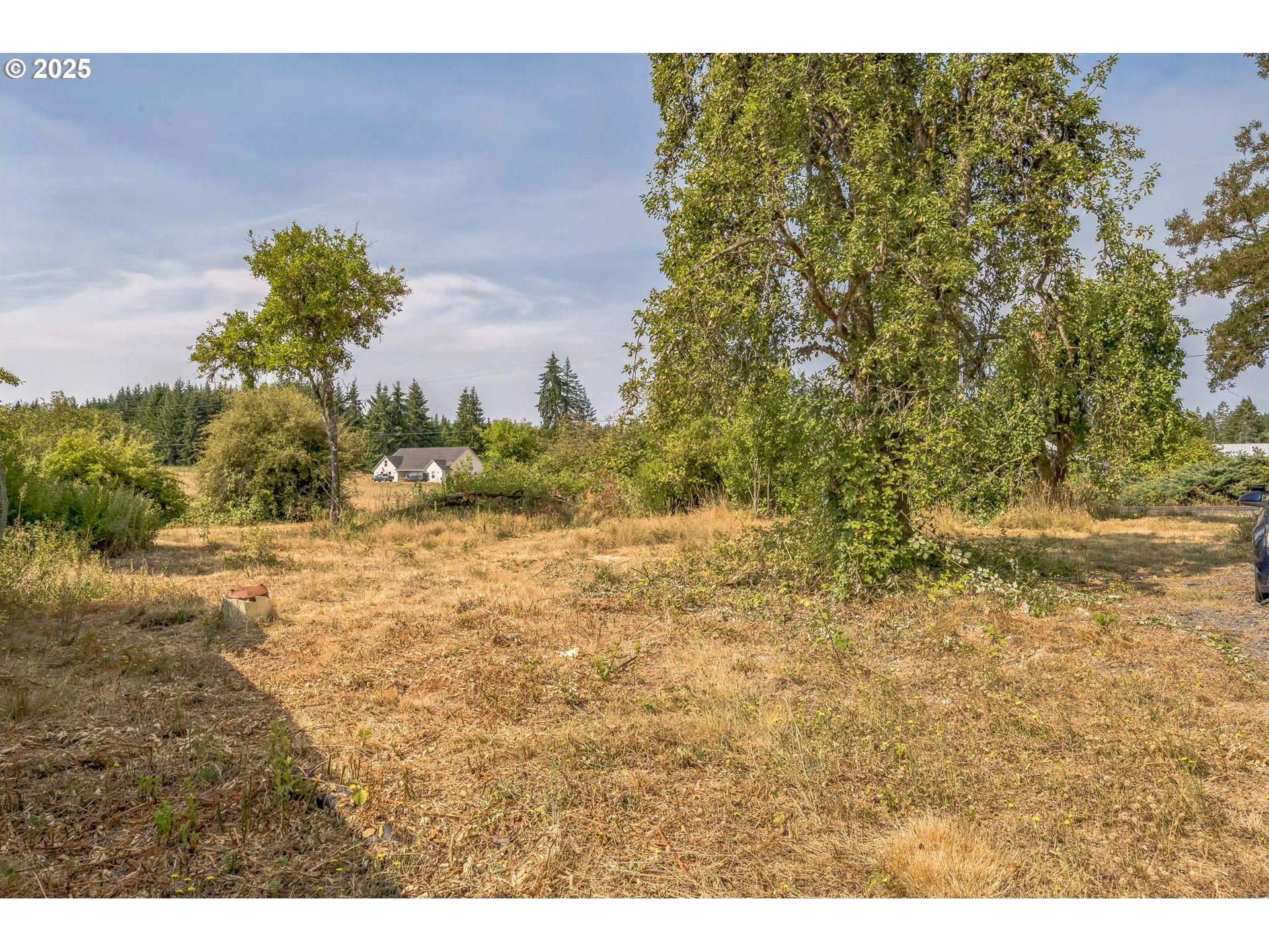 213 Nelson Road Winlock, WA 98596 - Photo 24 of 30 a view of a yard