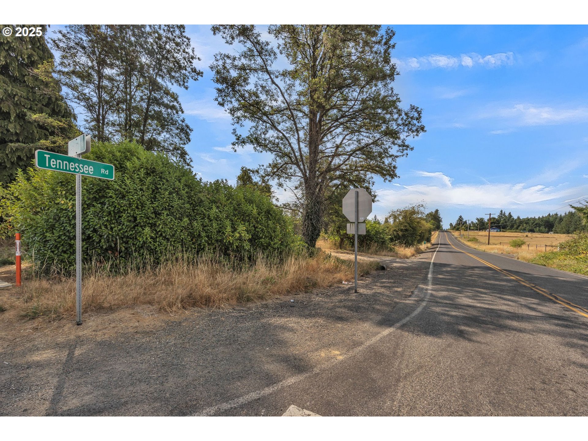 213 Nelson Road Winlock, WA 98596 - Photo 27 of 30 a view of a yard with a tree