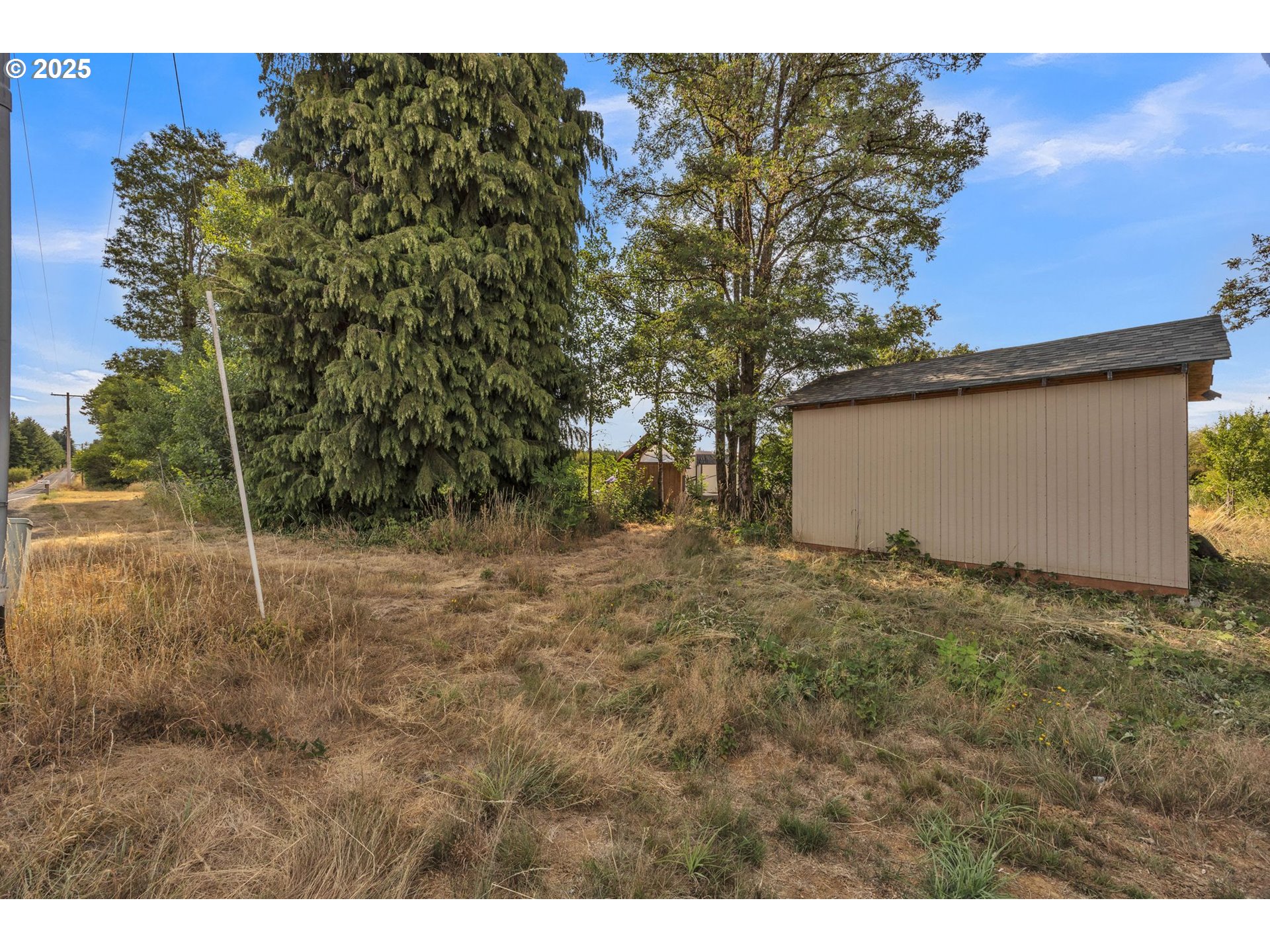 213 Nelson Road Winlock, WA 98596 - Photo 28 of 30 a backyard of a house
