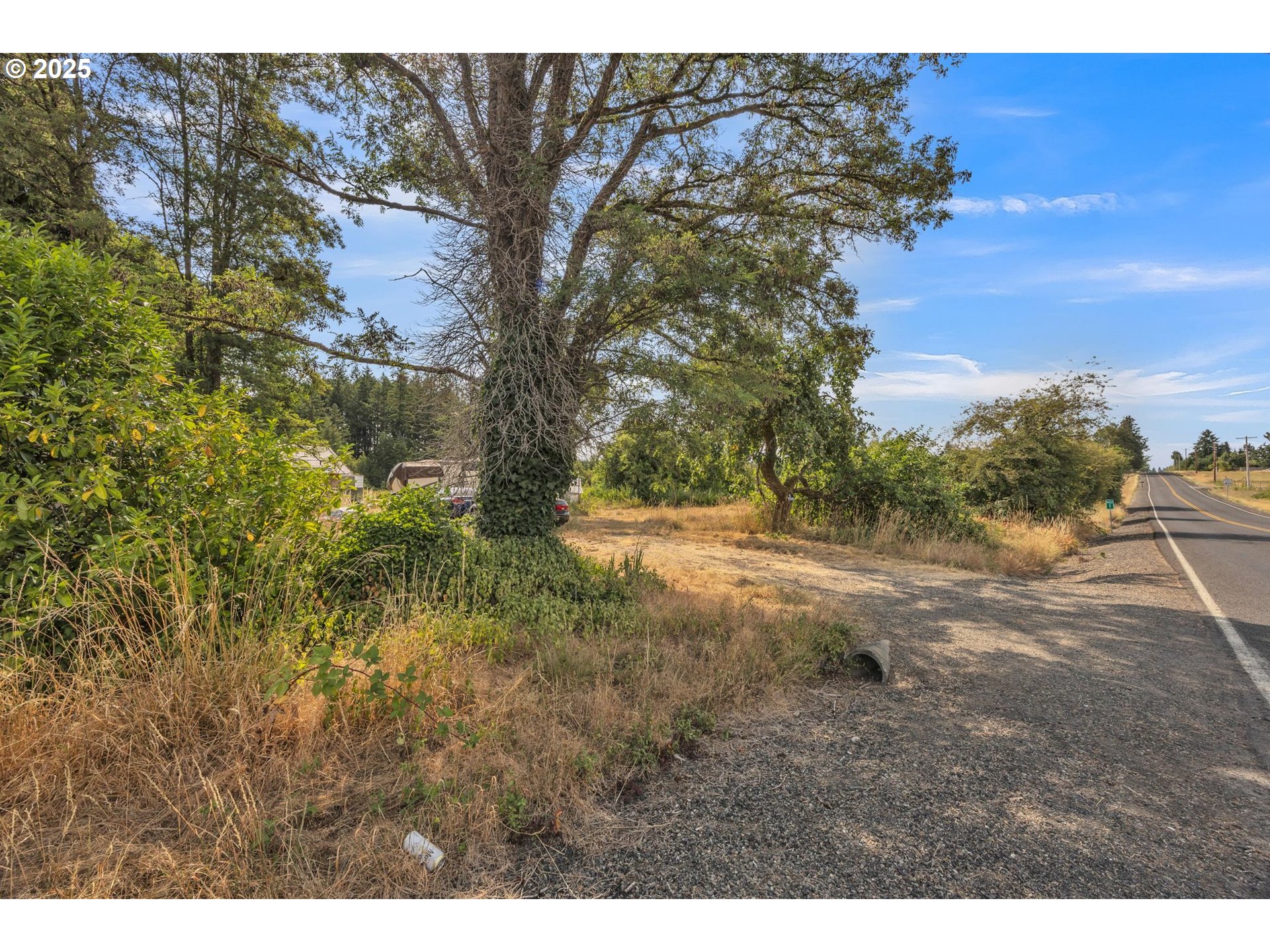 213 Nelson Road Winlock, WA 98596 - Photo 29 of 30 a view of outdoor space and trees