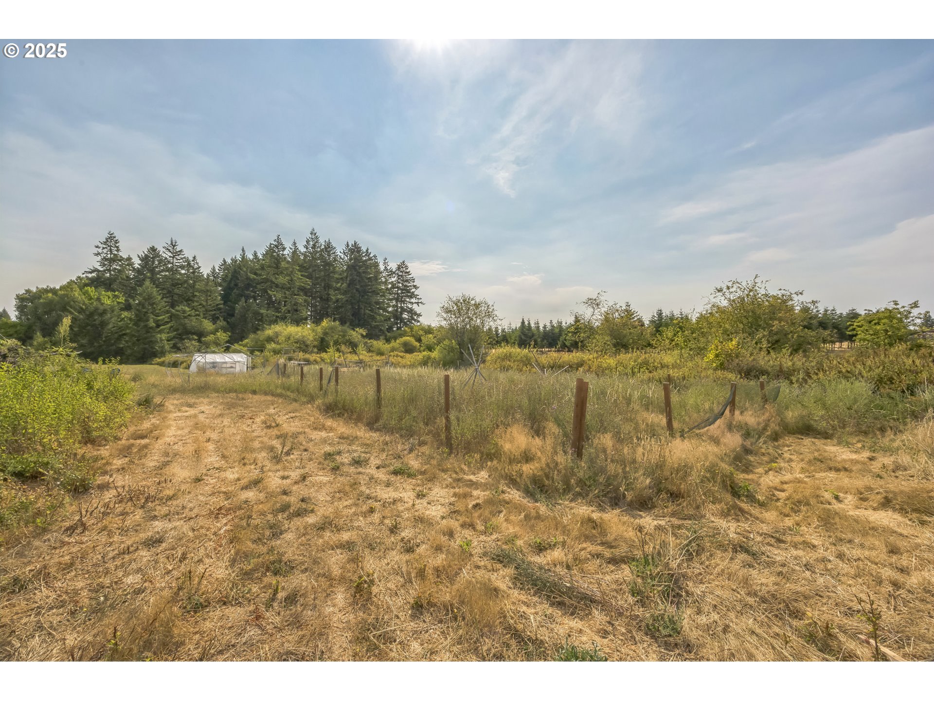 213 Nelson Road Winlock, WA 98596 - Photo 8 of 30 a view of a lake with houses in the back