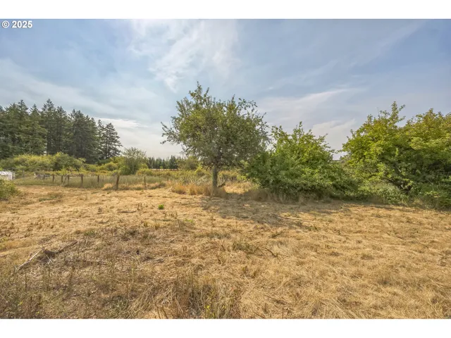 a view of a yard with an trees