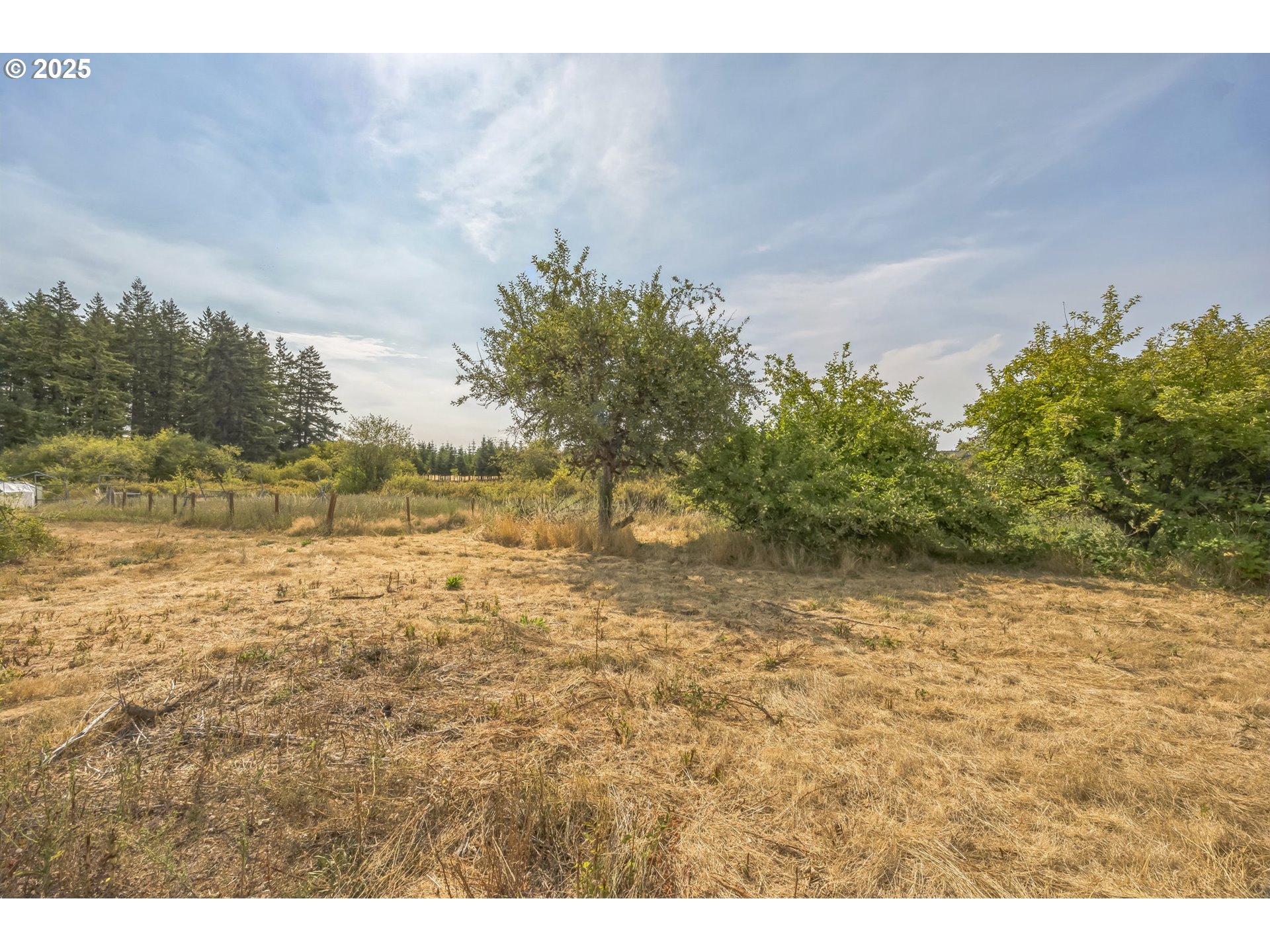 213 Nelson Road Winlock, WA 98596 - Photo 9 of 30 a view of a yard with an trees