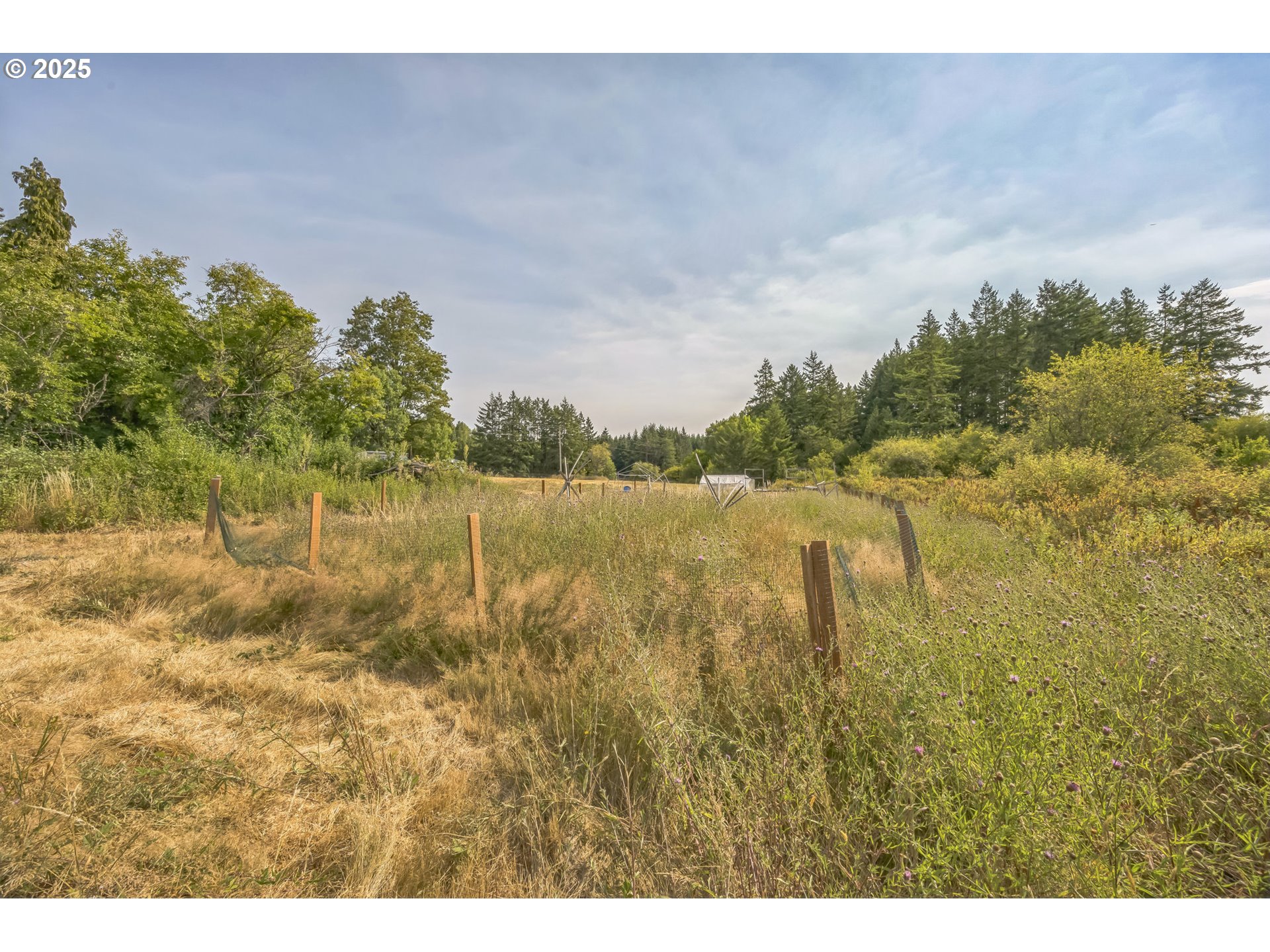 213 Nelson Road Winlock, WA 98596 - Photo 10 of 30 a view of a lake with a yard