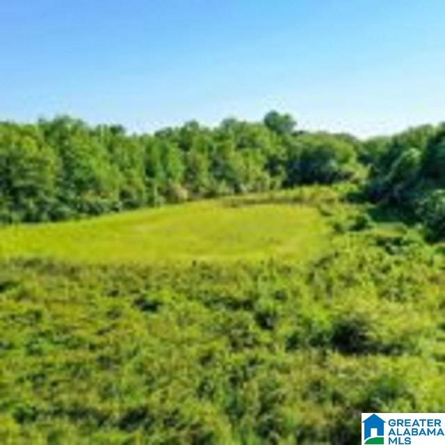 0 Highway 22 Roanoke, AL 36274 - Photo 5 of 5