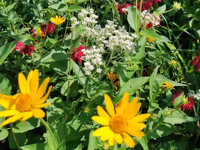 $169,900 | 846 9th Street, Green Bay, WI 54304