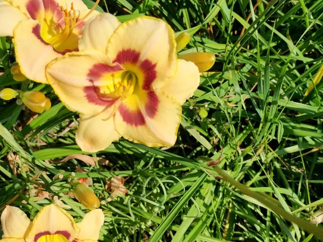 $169,900 | 846 9th Street, Green Bay, WI 54304