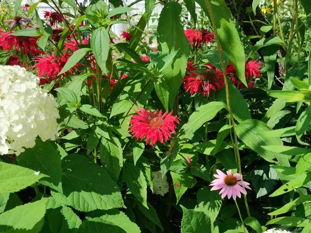 $169,900 | 846 9th Street, Green Bay, WI 54304