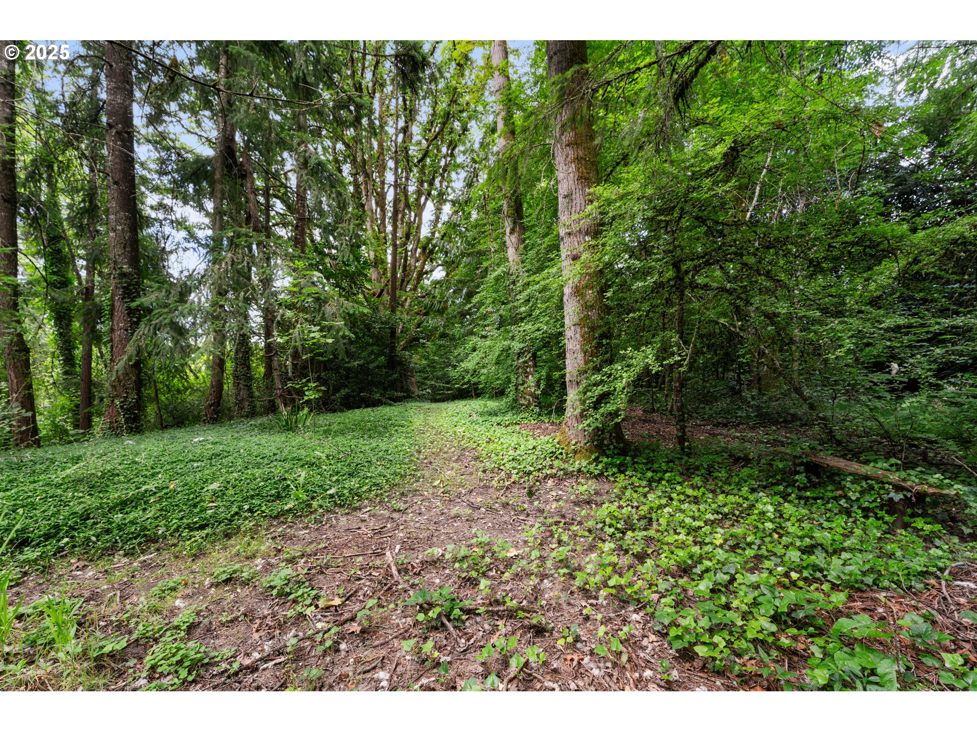 6455 Southwest Scholls Ferry Road Portland, OR 97223 - Photo 38 of 48 Yard