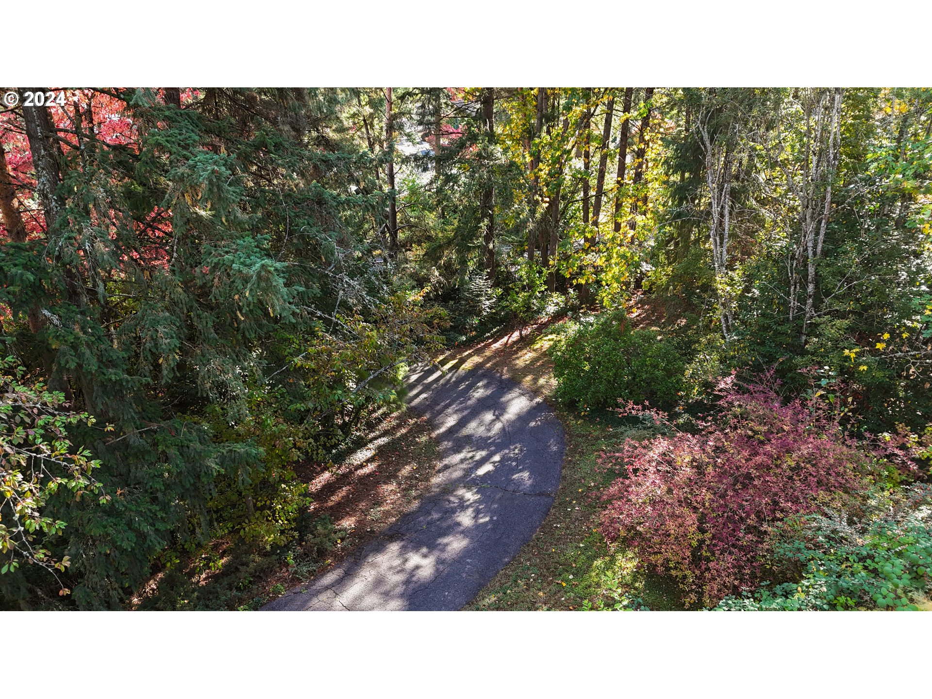 6455 Southwest Scholls Ferry Road Portland, OR 97223 - Photo 41 of 48 Driveway