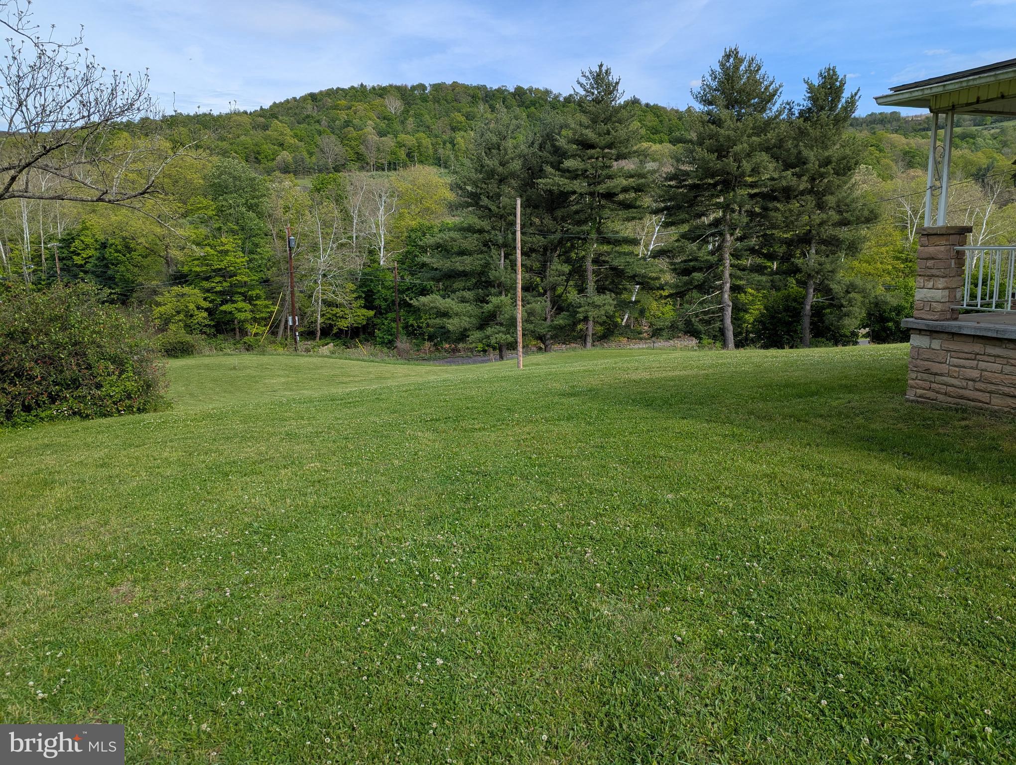 24001 Perry Hill Road Barton, MD 21521 - Photo 20 of 37 a view of a grassy field with trees in the background