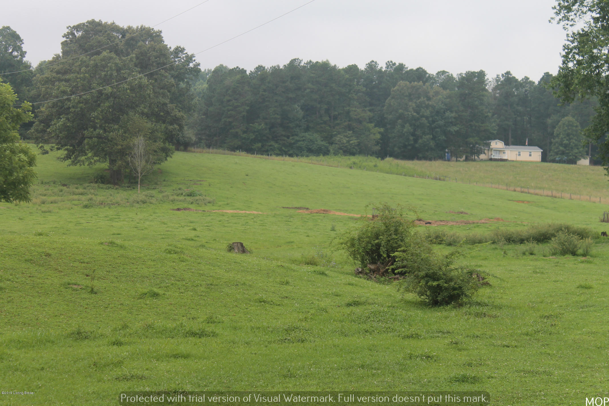 1503 Pikeview Road Magnolia, KY 42757 - Photo 3 of 28 IMG_2222