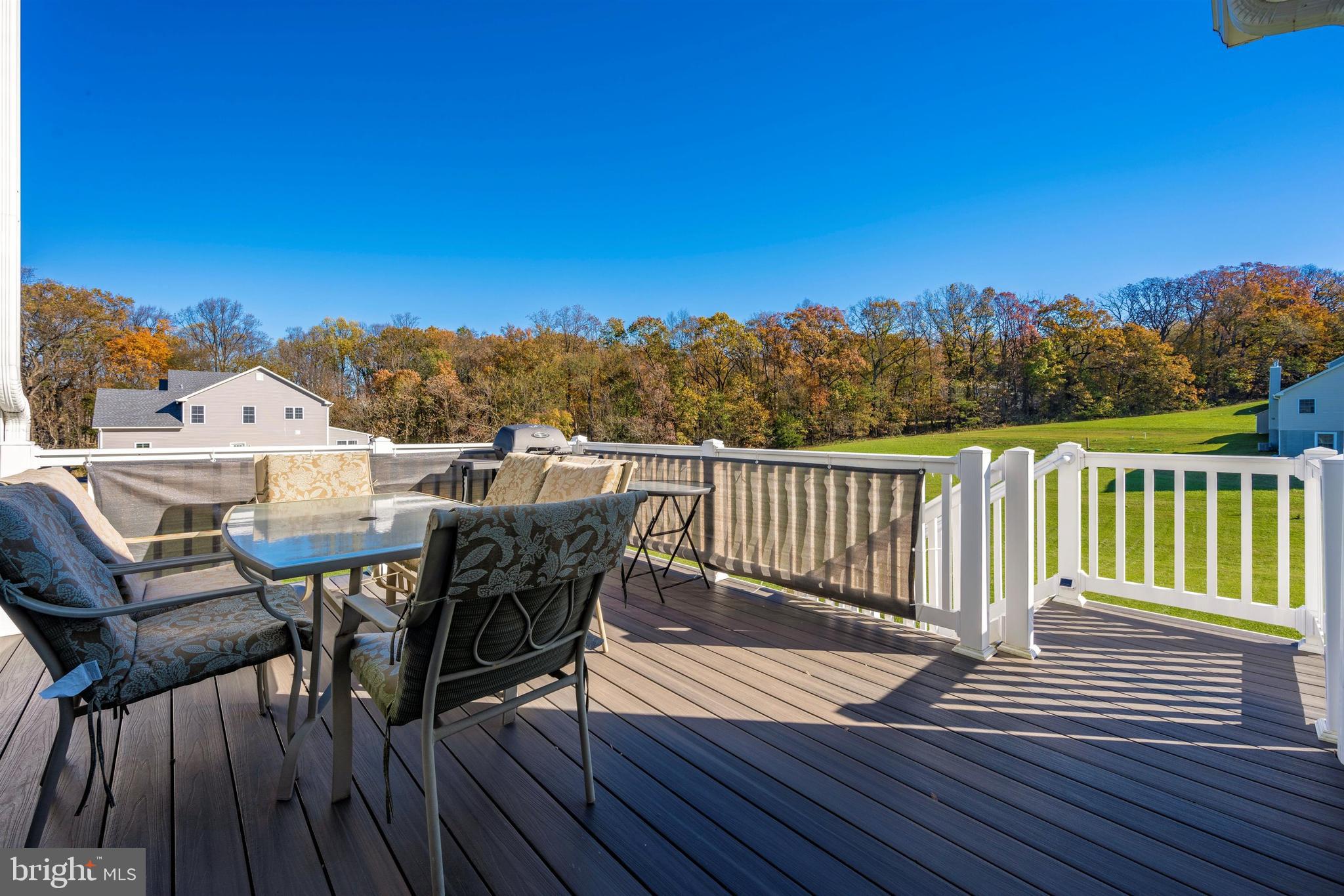 7315 Talbot Run Road Mount Airy, MD 21771 - Photo 43 of 51