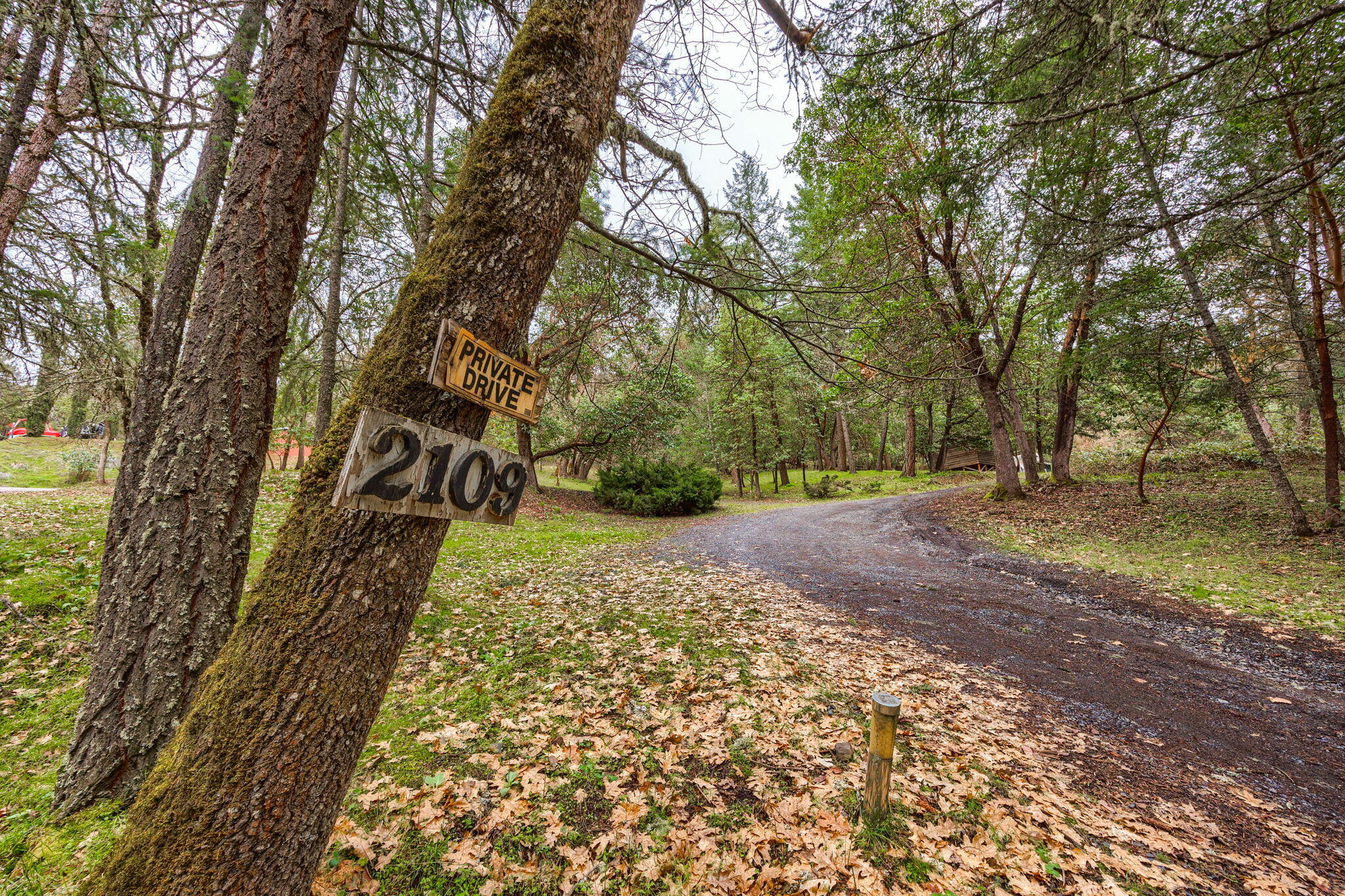 2109 Knowles Road Medford, OR 97501 - Photo 7 of 67 6-web-or-mls-ApxKR (6)