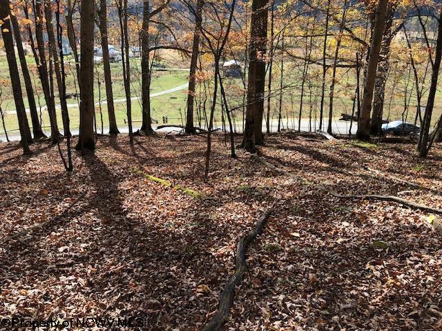 Tbd Holly Meadows Road Parsons, WV 26287 - Photo 13 of 21 Gallery Image 13