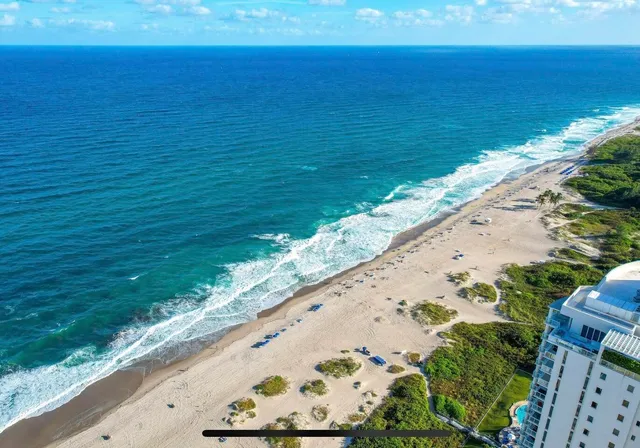 a view of backyard with swimming pool and green space