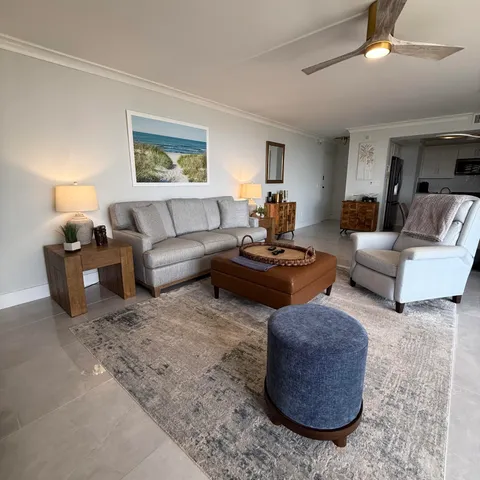 a living room with furniture potted plant and a lamp