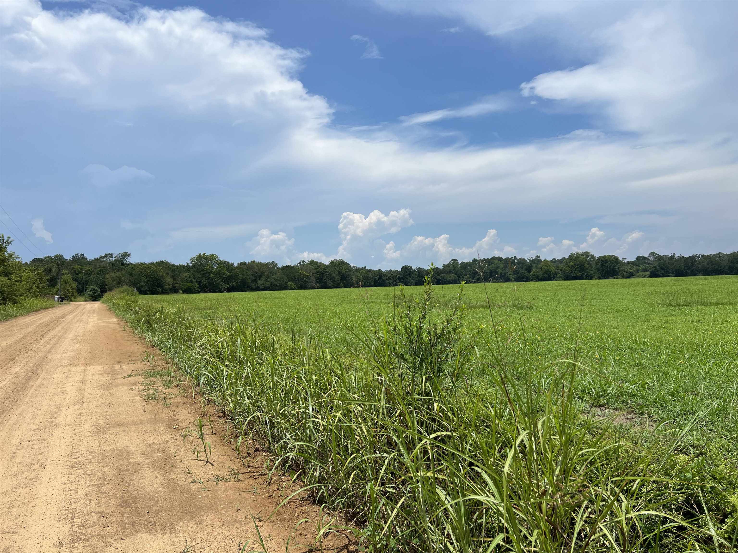 Xx Xx Max Herrin Road Quincy, FL 32352 - Photo 45 of 46