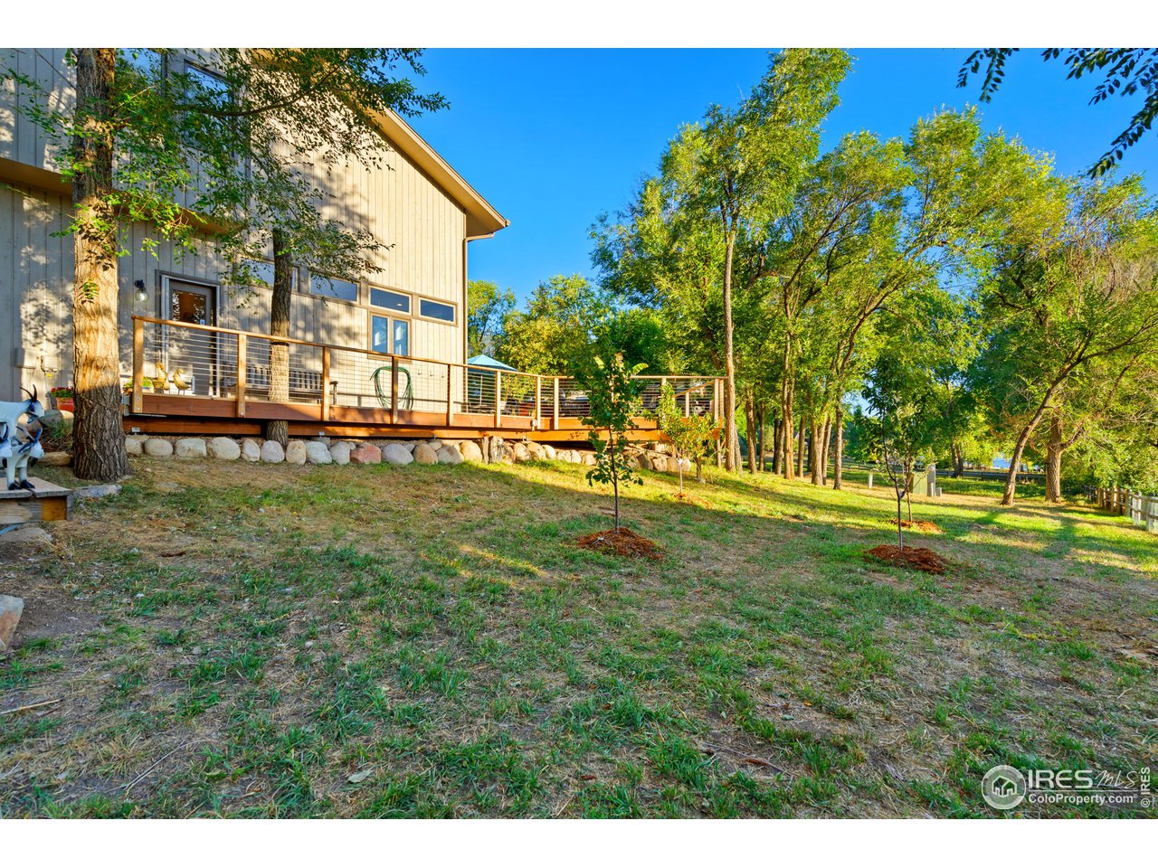 3513 Shore Road Fort Collins, CO 80524 - Photo 27 of 38 More of the yard
