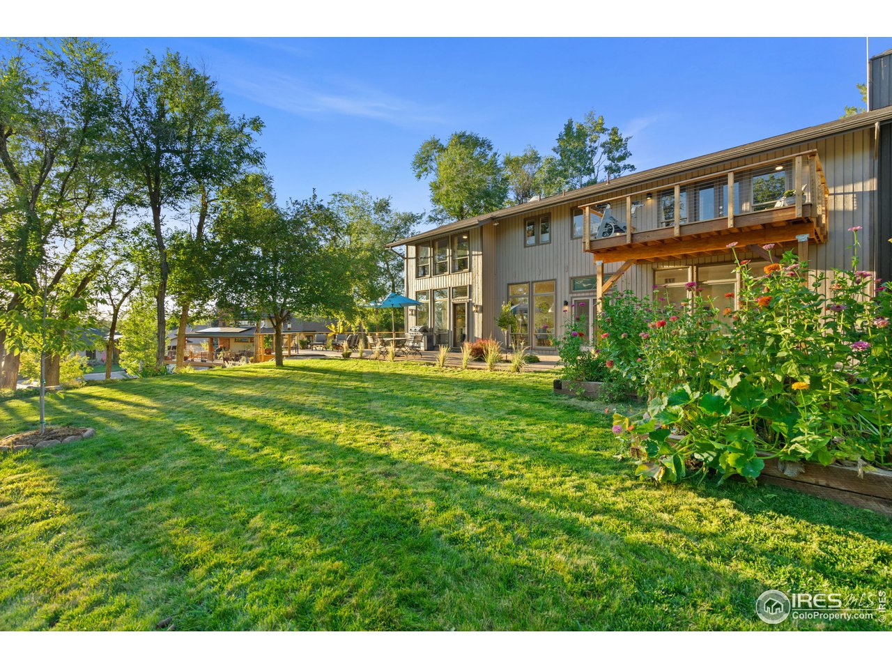 3513 Shore Road Fort Collins, CO 80524 - Photo 28 of 38 and yard again