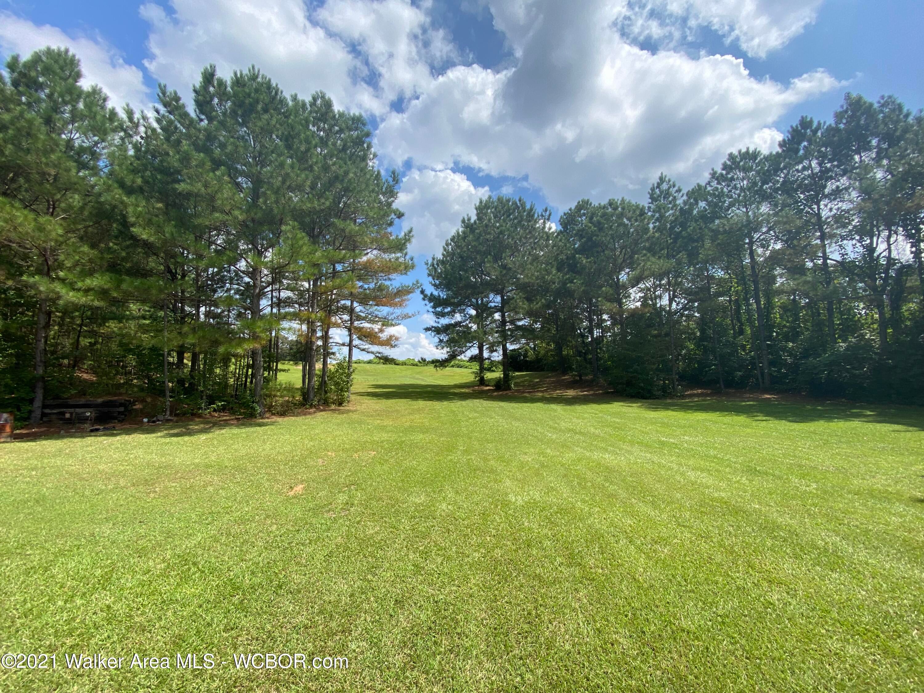 1238 Fall City Road Jasper, AL 35503 - Photo 3 of 20 Gallery Image 3