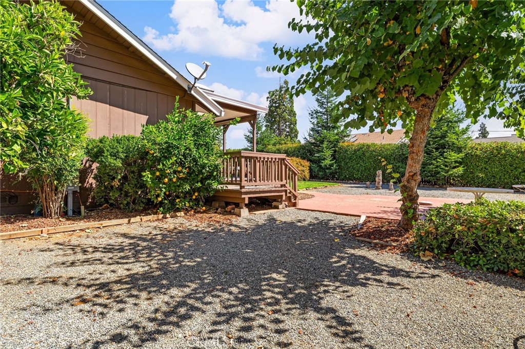 5770 Ingalls Road Paradise, CA 95969 - Photo 45 of 63 a view of a yard with plants and trees
