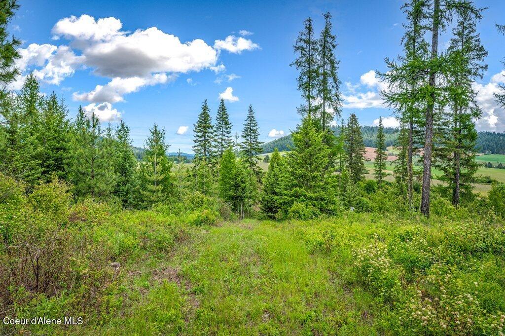 1 Freedom Way Road Plummer, ID 83851 - Photo 22 of 34 --29.jpg-SMALL