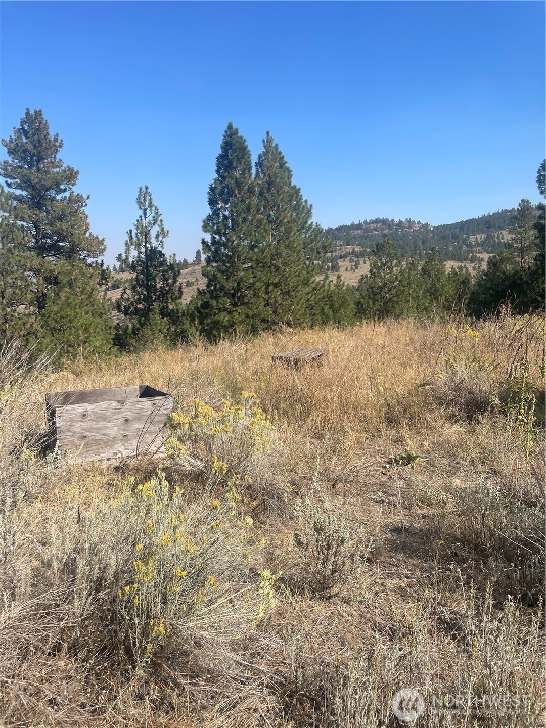 -tbd Reevas Basin Road Tonasket, WA 98855 - Photo 7 of 38