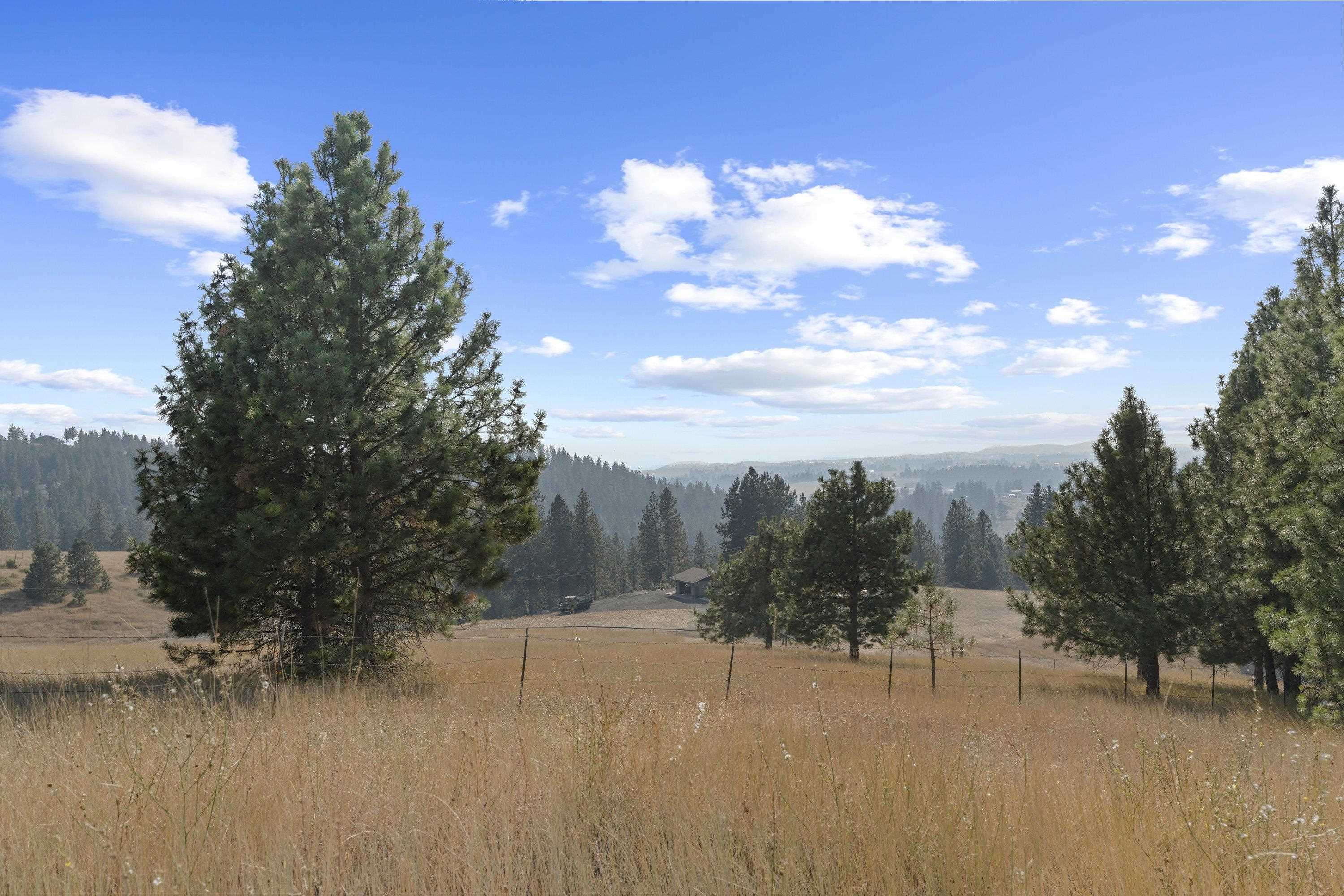 16315 East Temple Road Spokane, WA 99217 - Photo 13 of 49