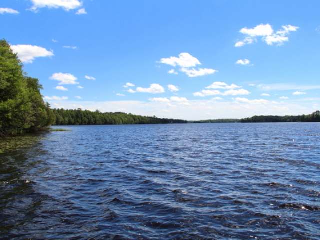 11478 Butternut Lake Road Butternut, WI 54514 - Photo 8 of 19 Gallery Image 8