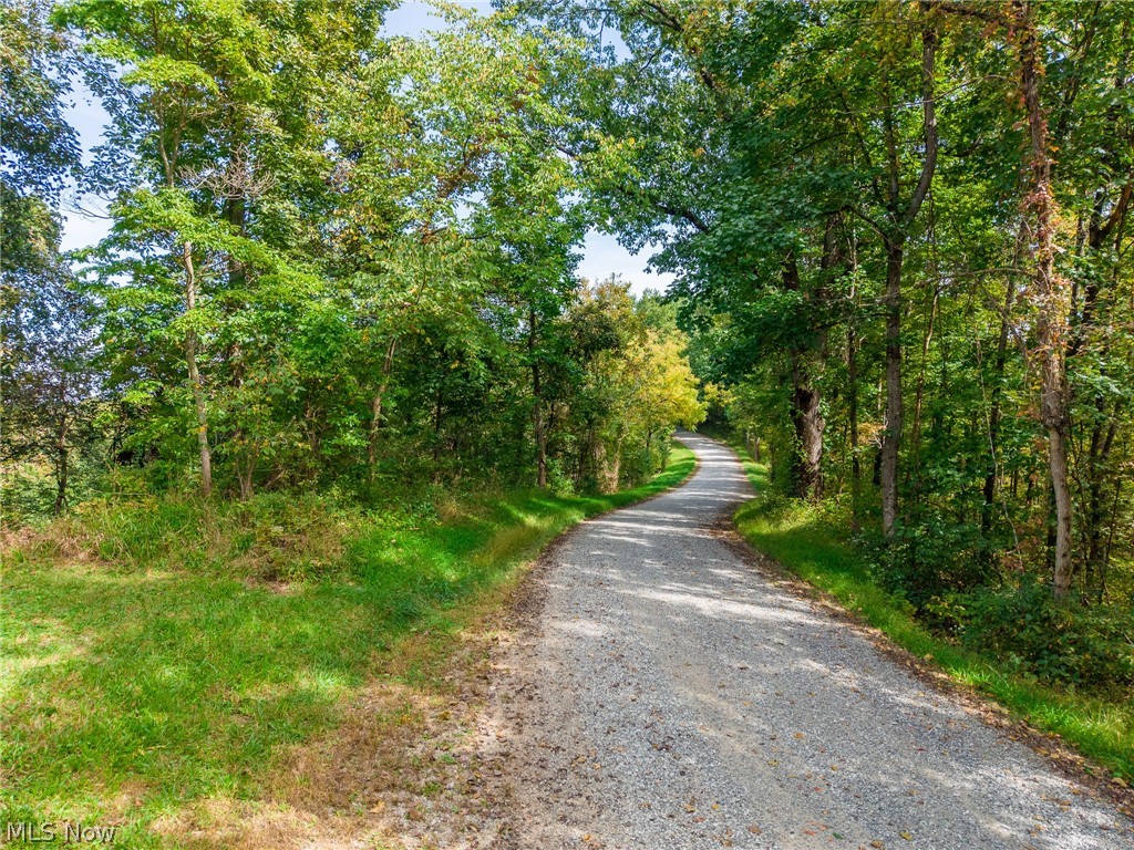 Lew Marten Road Summerfield, OH 43788 - Photo 26 of 50 Gallery Image 26