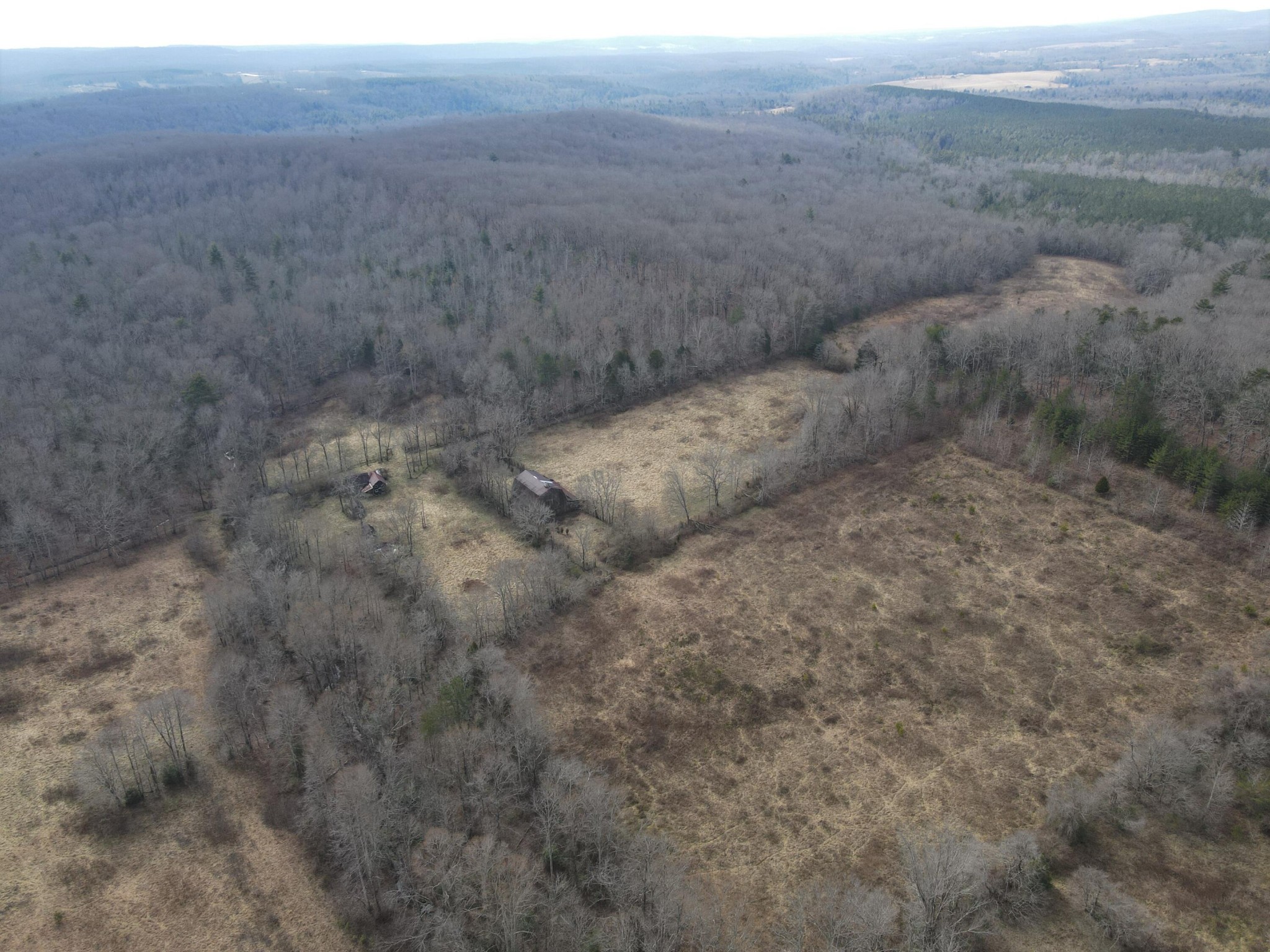 0 Manning Road Grandview, TN 37337 - Photo 13 of 14 Gallery Image 13