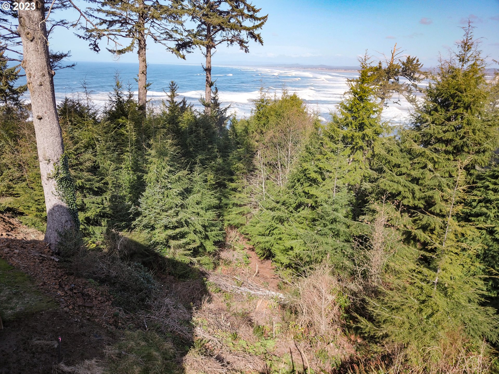 300 Sunset Boulevard Seaside, OR 97138 - Photo 4 of 6 a yard with a house