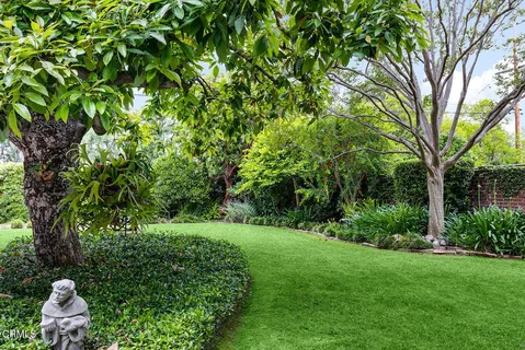 a view of a garden with plants and large trees